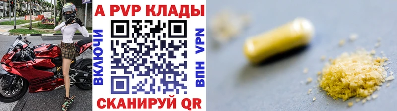 Альфа ПВП СК  kraken как войти  Ленинск-Кузнецкий 