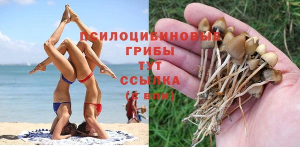 сатива Алексин