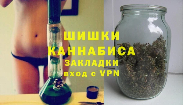 сатива Алексин