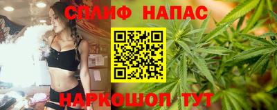 мдпв Камышлов