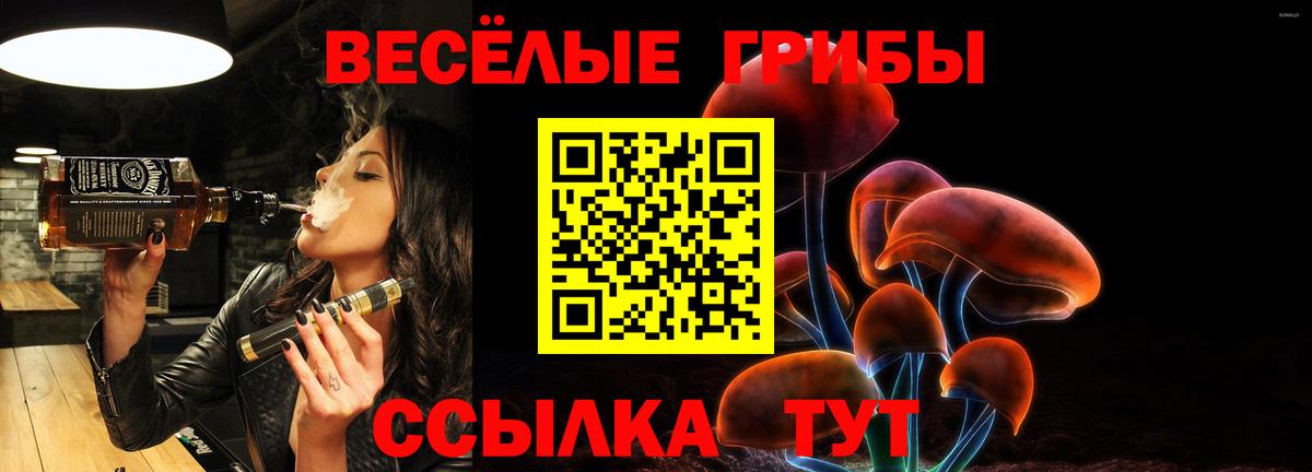 Ленинск-Кузнецкий  Псилоцибиновые грибы Magic Shrooms  Псилоцибиновые грибы MAGIC MUSHROOMS  Вход с VPN 